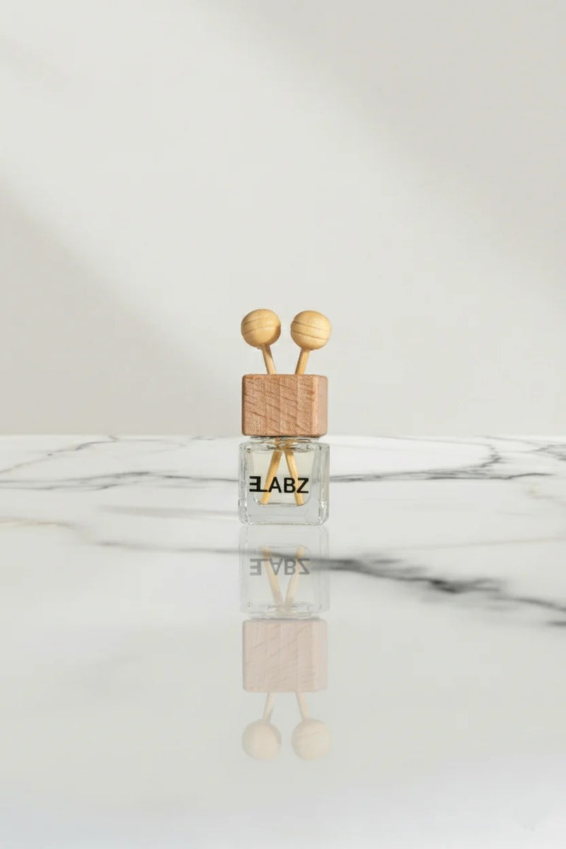 Elabz autoparfum voor het ventilatierooster